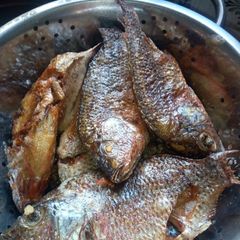 A picture of Fried fish 2.
