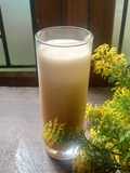 Banana Kombucha Smoothie