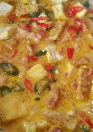 Foto resep Tahu Tempe Santan Pedas