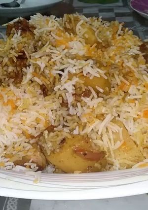 A picture of Sindhi Biryani.