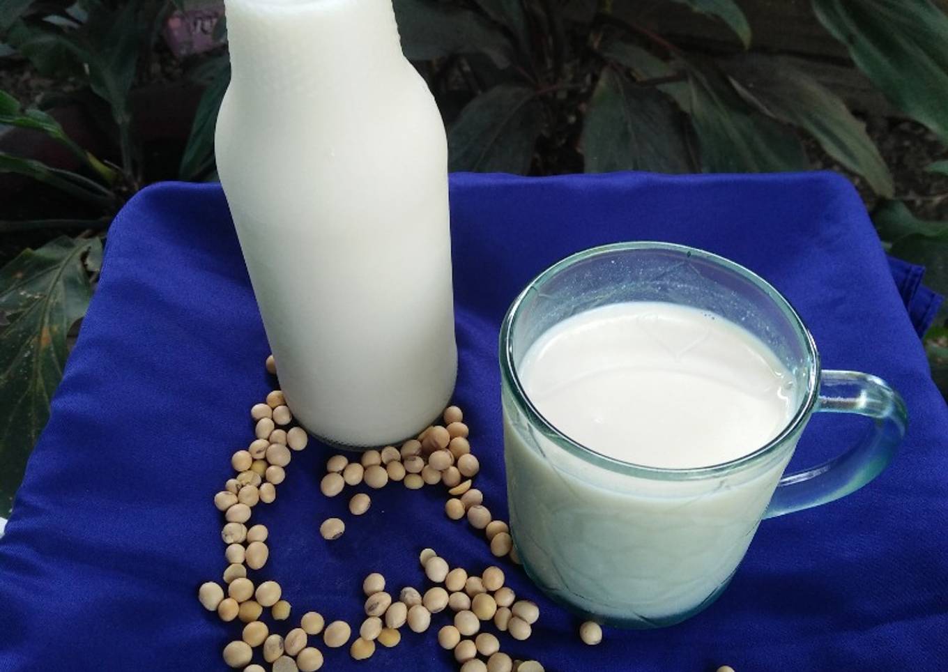 Susu Kedelai Enak tanpa rasa langu