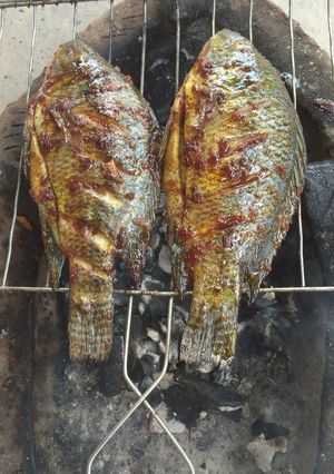 Foto resep Ikan nila bakar
