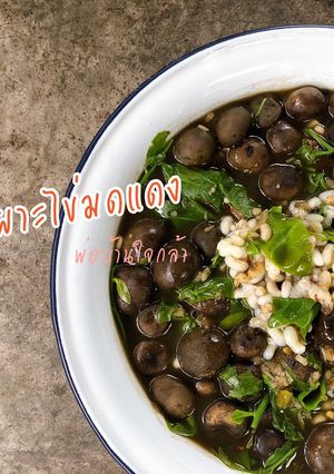 รูปของ แกงเห็ดเผาะไข่มดแดง