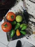 Nuestra salsa arrabbiata Colombo italiana