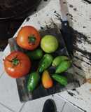 Nuestra salsa arrabbiata Colombo italiana