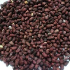 A picture of Roasted groundnuts.
