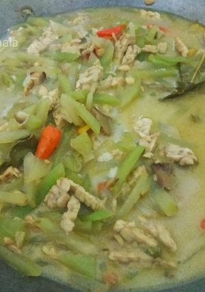 Foto resep Jangan Jepan Tempe (Sayur Labu Siam Tempe)