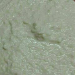A picture of Healthy humus.