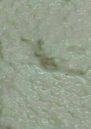 A picture of Healthy humus.