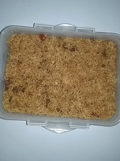 Foto resep 1. Serundeng Daging Sapi