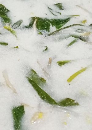 Foto resep Sayur bobor