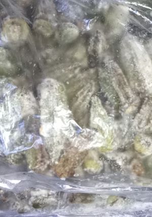 صورة لوصفة تخزين وتجميد القناوية