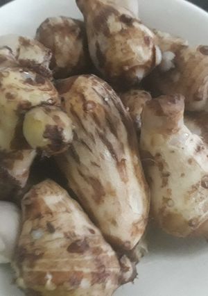A picture of Cocoyam.