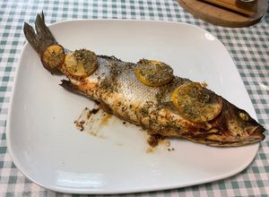 Une photo de Bars Farcis Curry, Miso et Citron Confit