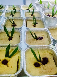Foto resep Kue Barongko Khas Bugis