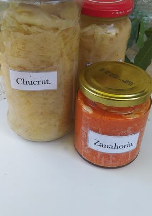 Una foto de Repollo y Zanahoria Fermentados / Chucrut