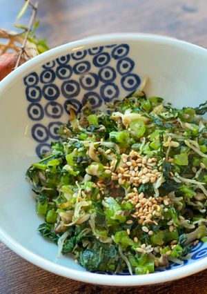 A picture of Japanese Daikon Radish Furikake.
