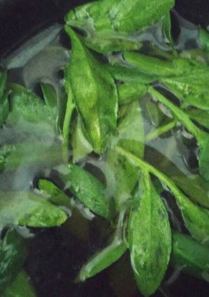 Una foto de Infusión para descansar (relax day)