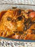Kari Ikan Merah