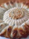 Plumcake salato con verdure
