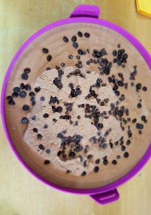 Foto resep Ice cream Pondan coklat