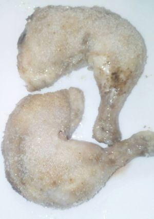 Foto principal de Pollo al horno