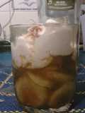 Postre de Bananas (Cambur) flambeadas con ron añejo