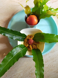 बेसन के करेले टमाटर वाले (Besan ke karele Tamatar wale recipe in Hindi) रेसिपी मुख्य फोटो