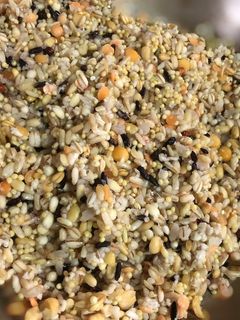 A picture of Cooking Mixed Grains as a Rice Substitute.