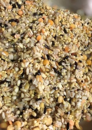 A picture of Cooking Mixed Grains as a Rice Substitute.