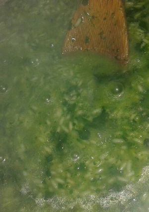 Una foto de Risotto de espinaca