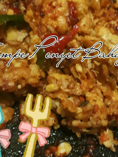 Foto resep Tempe Penyet
