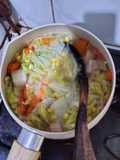 Sayur Sawi Putih Warna Warni