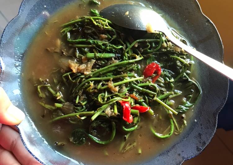 Resep Sayur PAKIS yang Enak