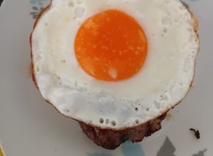 Una foto de Bistec Proteico