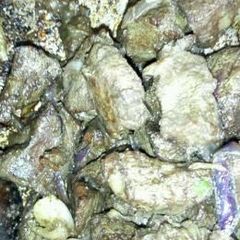 A picture of Chicken liver and heart with rosemary.