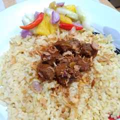 A picture of Nasi Samin Banjar.