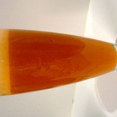A picture of The Power Booster.