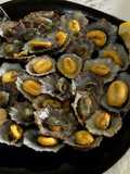 Lapas