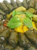 ورق عنب بخضرا (يالنجي)