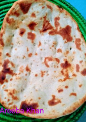 A picture of Homemade Simple Roti.