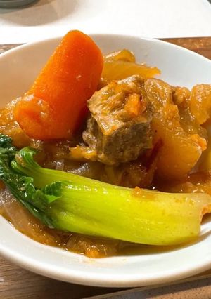 《金小萬萬用鍋》番茄燉牛肉 的食譜成品照片