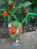 Lillet spritz