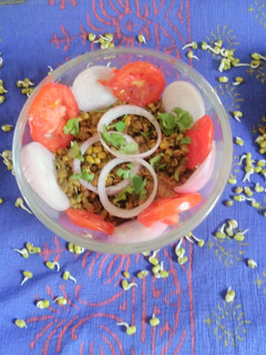 સ્પ્રાઉટેડ મસાલા મગ (Sprouted Masala Moong Salad Recipe In Gujarati) રેસીપી મુખ્ય ફોટો