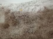 A picture of salt roe