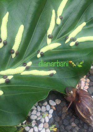 Foto resep Catepillar Cookies/Kukis Ulet Keket🐛