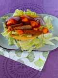 Tacos mit Geflügelstreifen und Mango Salat