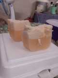 Agar busa rasa jeruk