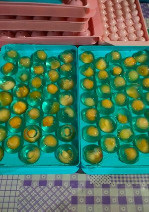 Foto resep 71. Bola Jeli Buah / Fruit Jelly Ball
