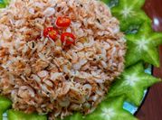 Hình ảnh của tép biển